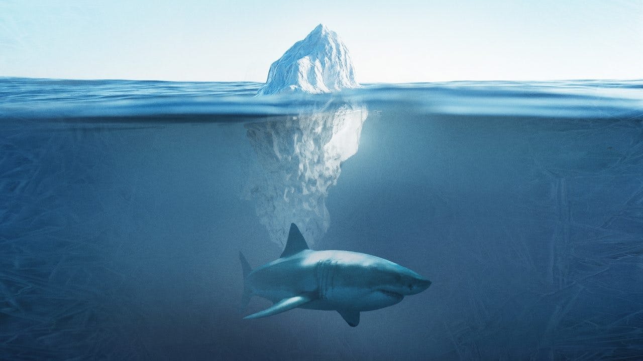 Shark Below Zero assista online