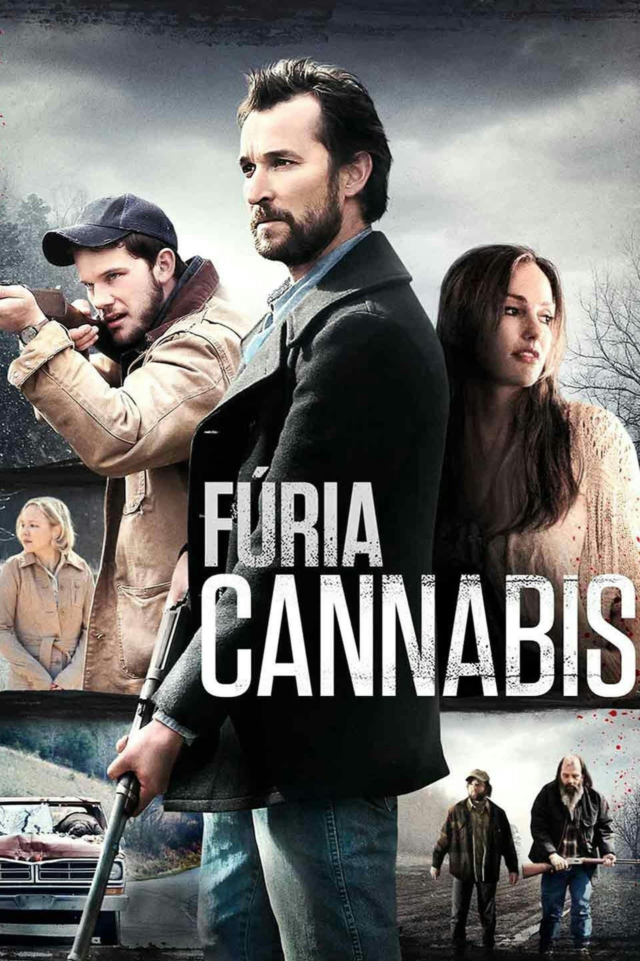 Assistir Fúria Cannabis Online em HD