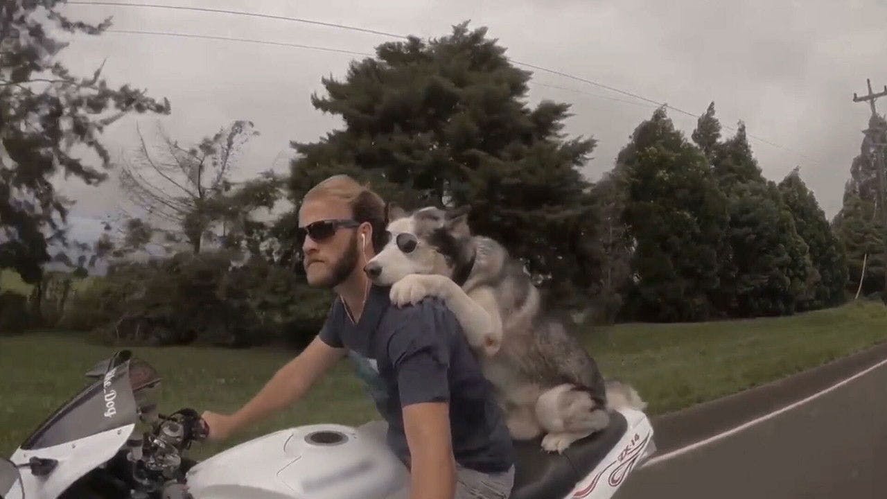 assista ao episódio 5 da temporada 3