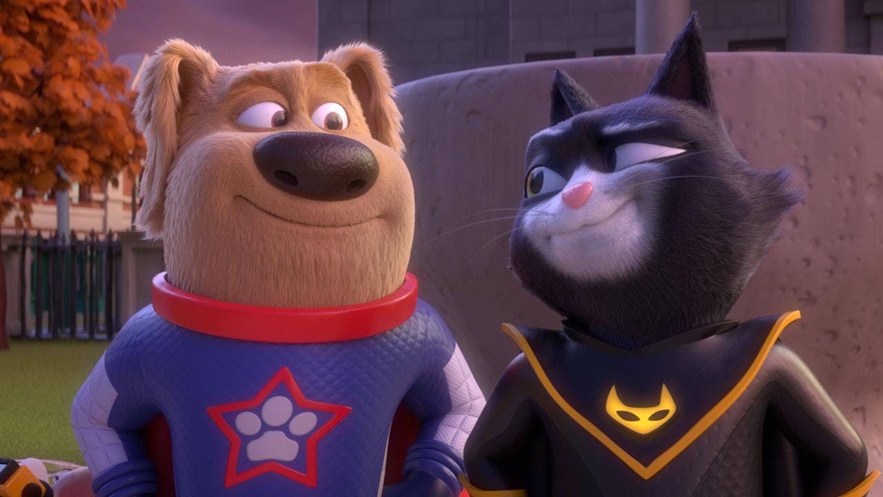 Cão-Estrela E Turbo-Gato