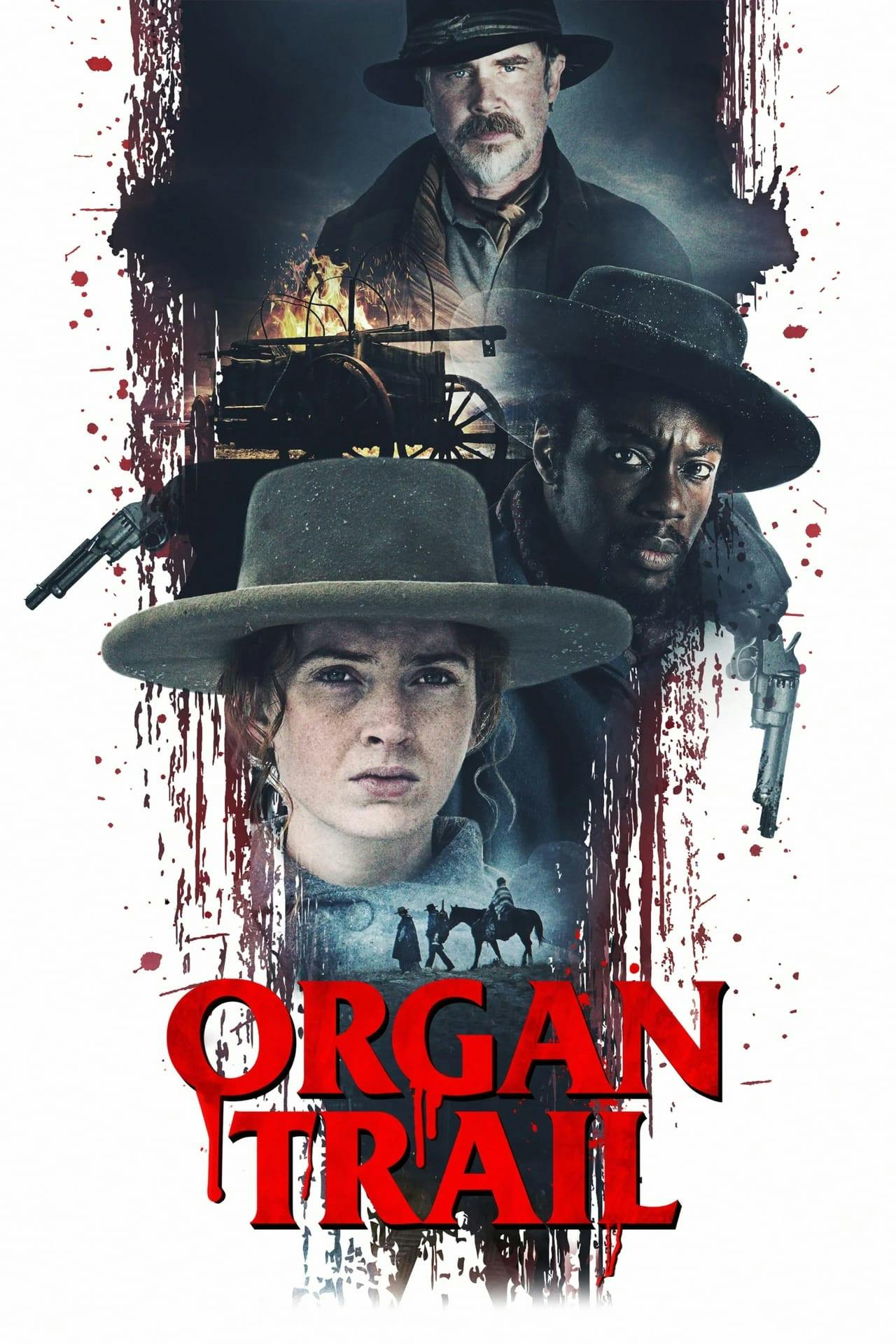 Assistir Organ Trail Online em HD