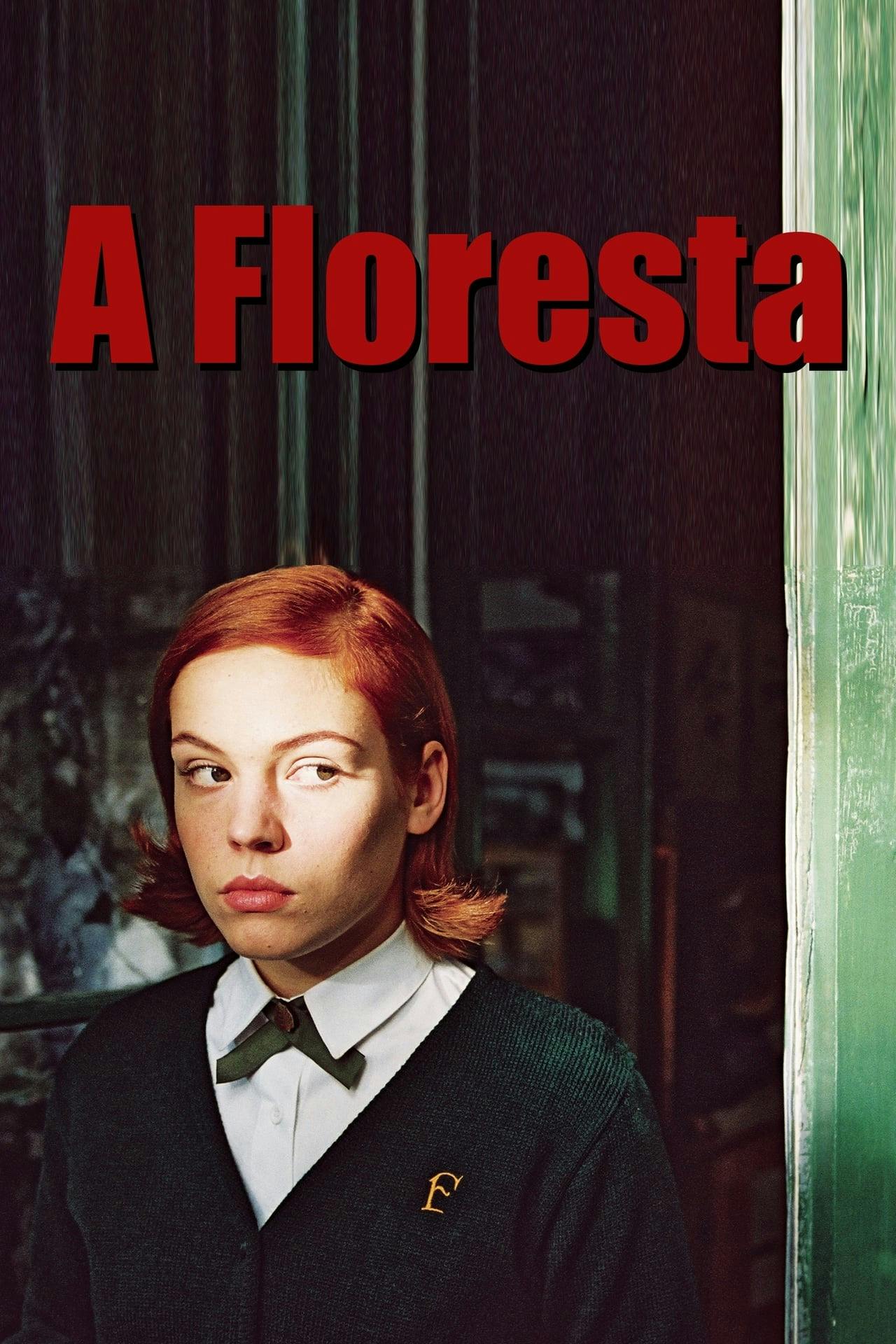 Assistir A Floresta Online em HD