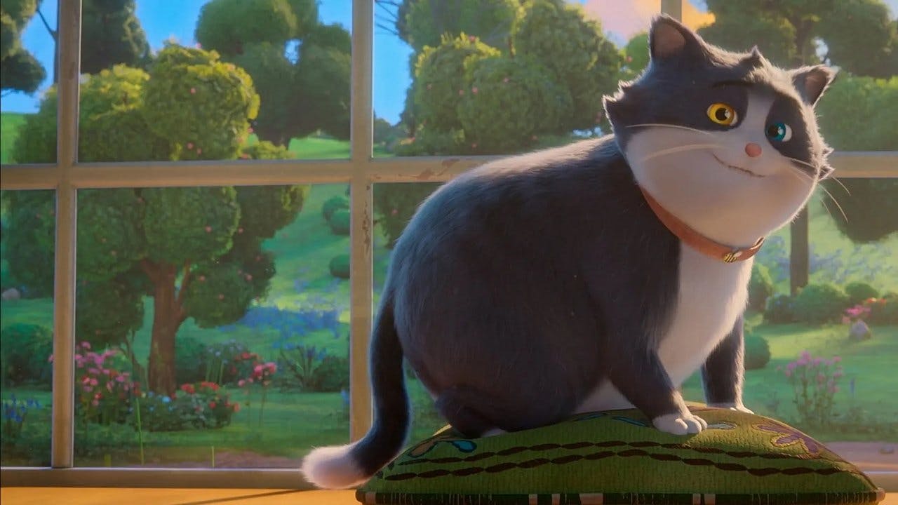 Um Gato de Sorte