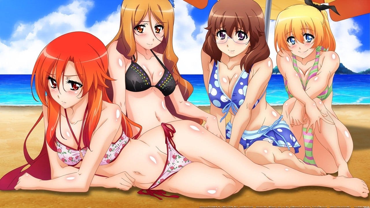 Dakara Boku wa, H ga Dekinai.