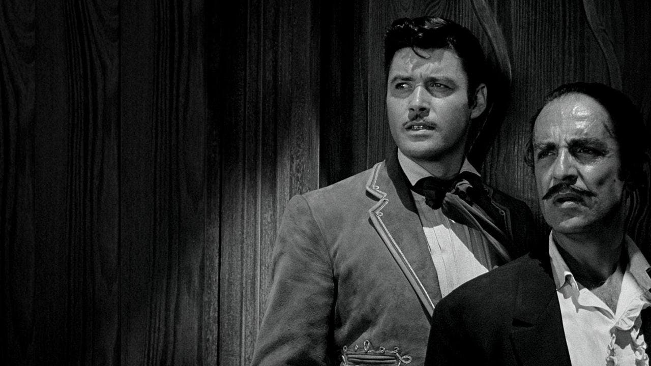 Zorro assista online