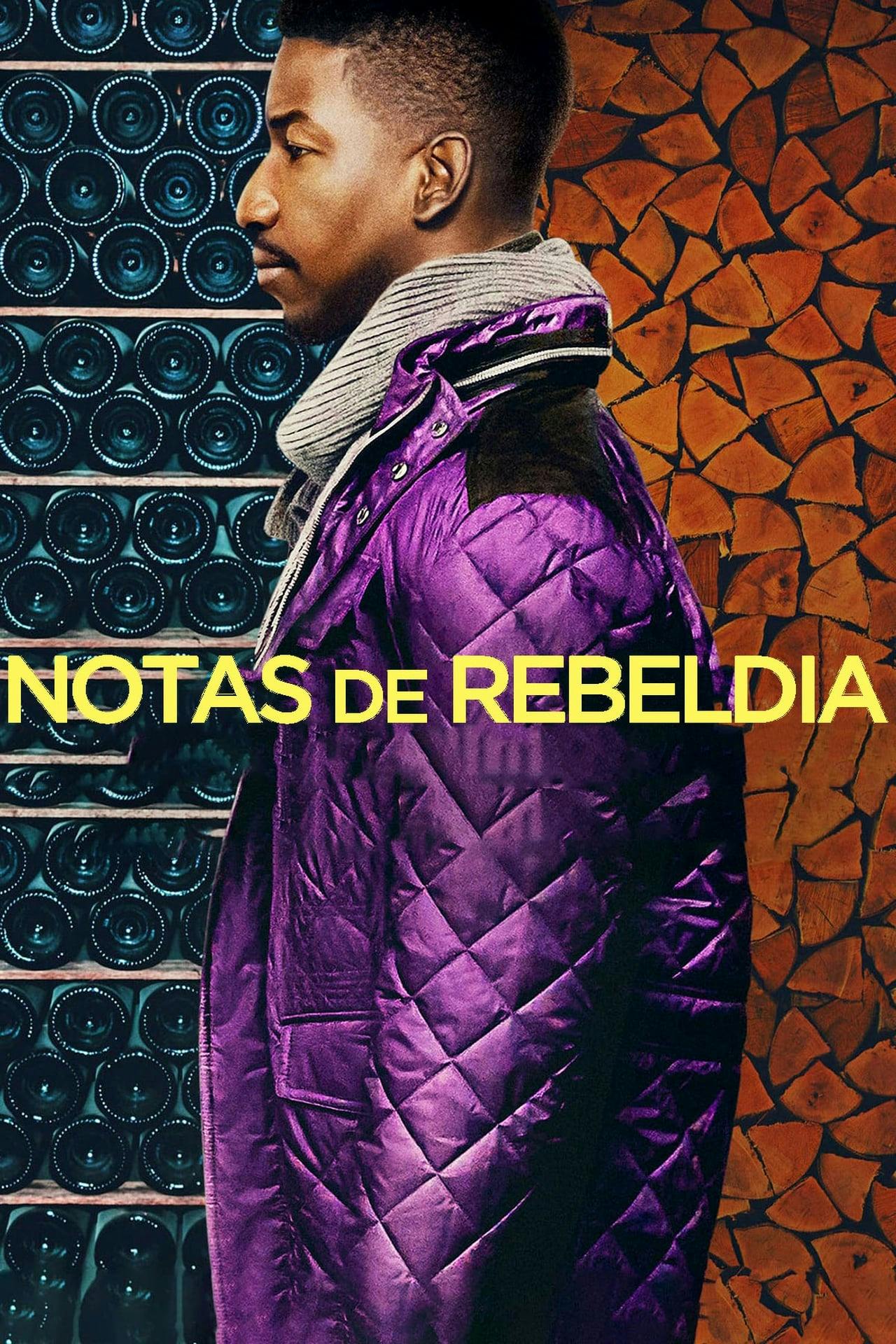 Assistir Notas de Rebeldia Online em HD