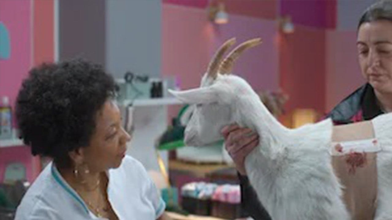 assista ao episódio 7 da temporada 1