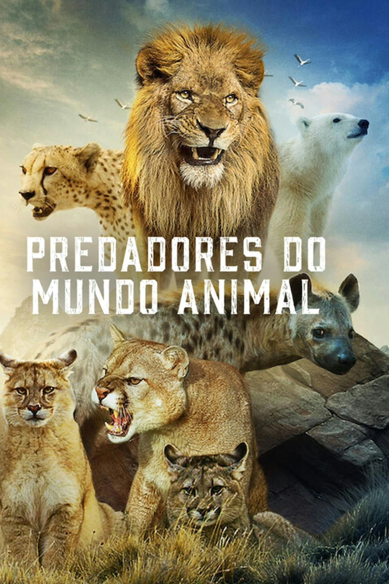 Assistir Predadores do Mundo Animal Online em HD