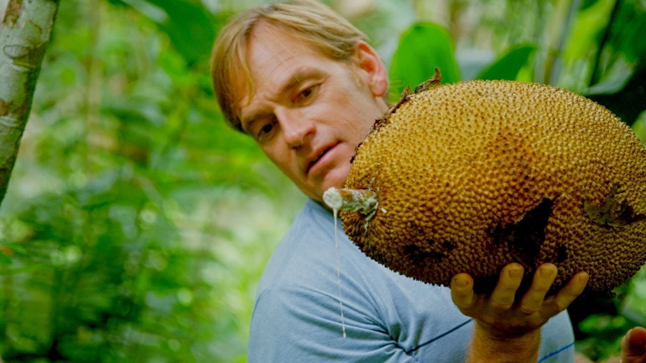 assista ao episódio 3 da temporada 1