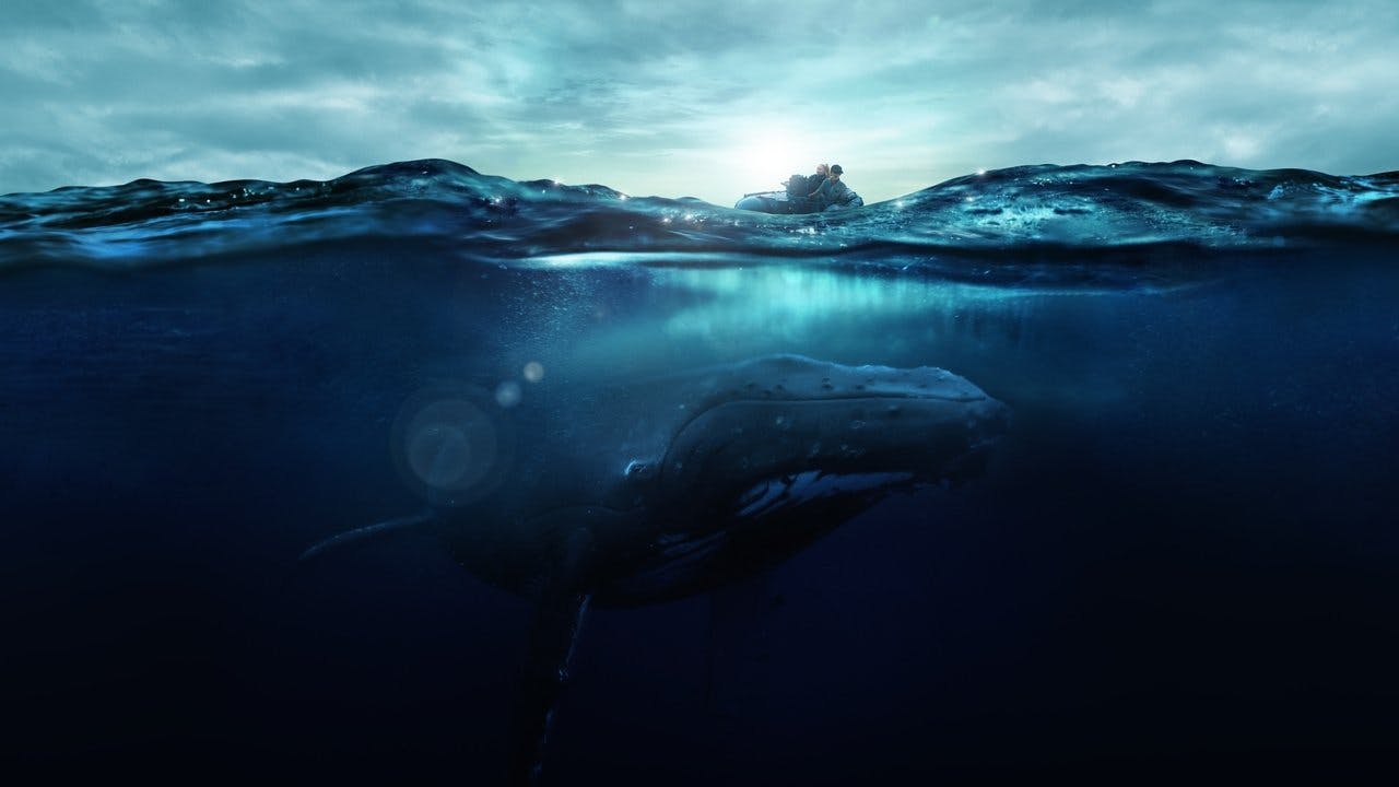 Fathom - Nas Profundezas assista online