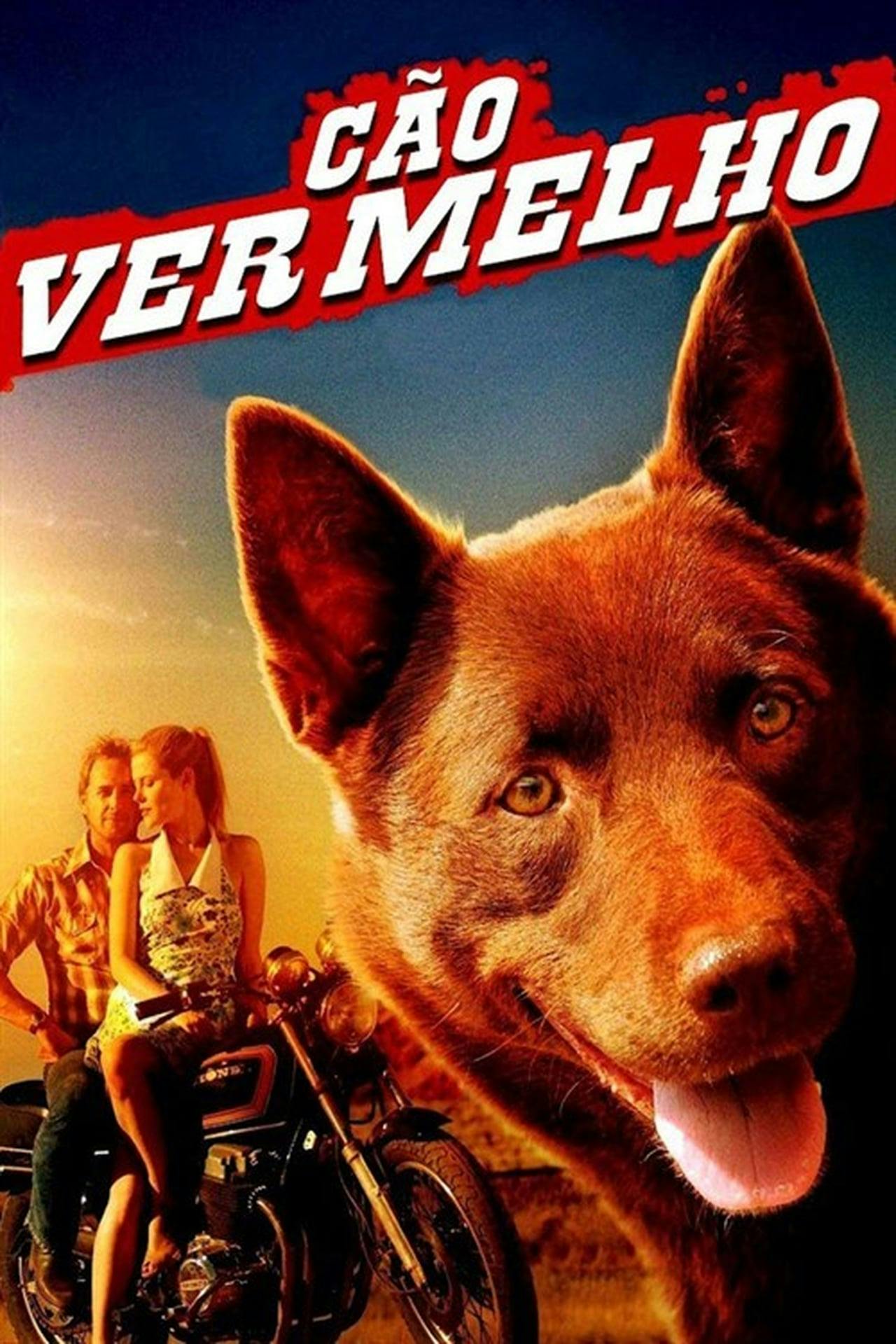 Assistir Cão Vermelho Online em HD