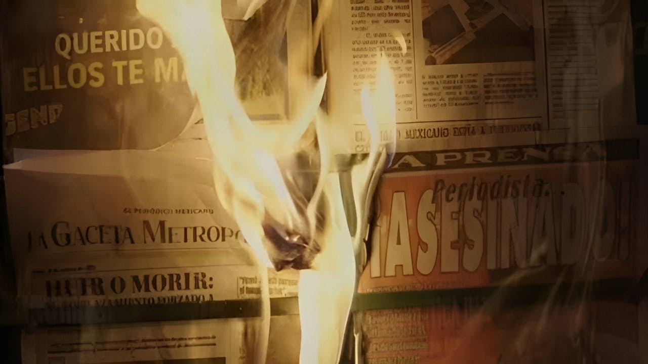 Estado de Silêncio assista online