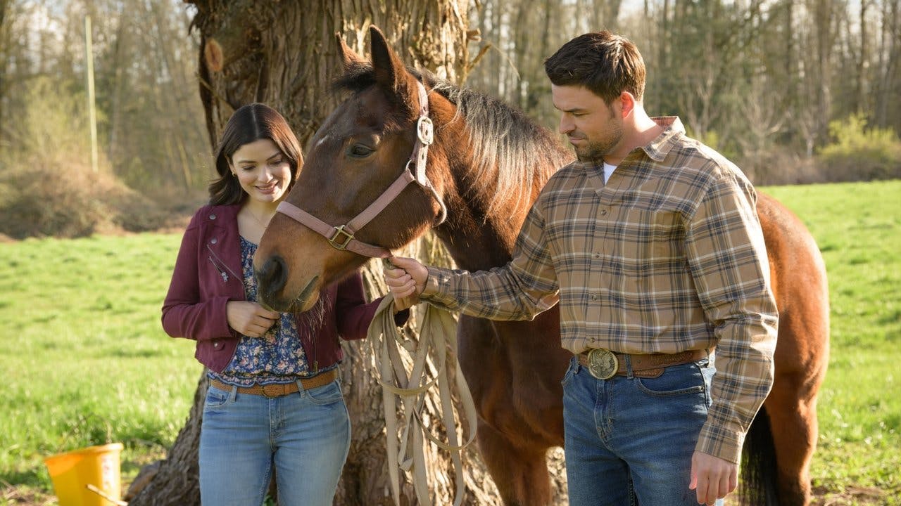 Vote One for Love assista online