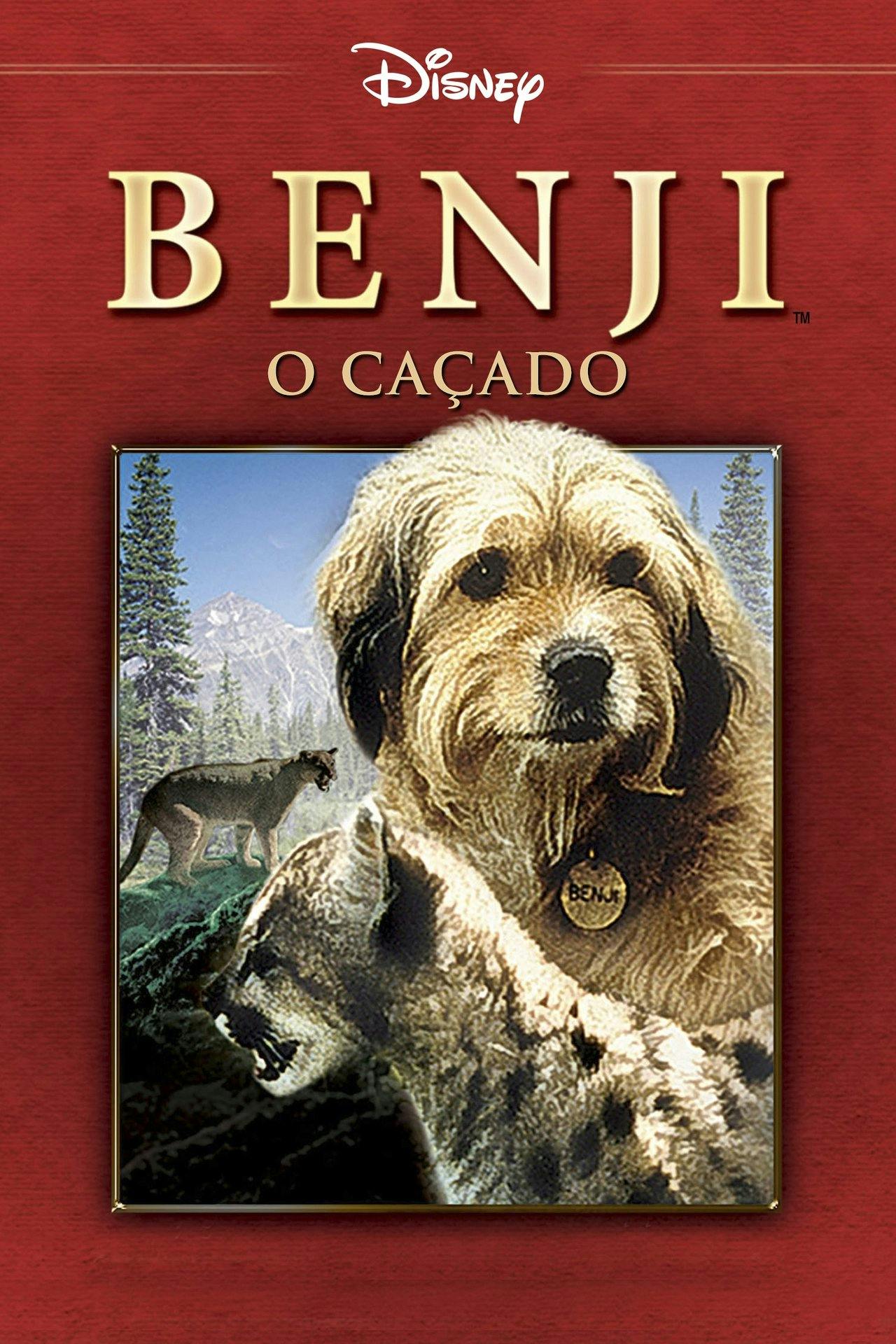 Assistir Benji – Um Cão Desafia a Selva Online em HD