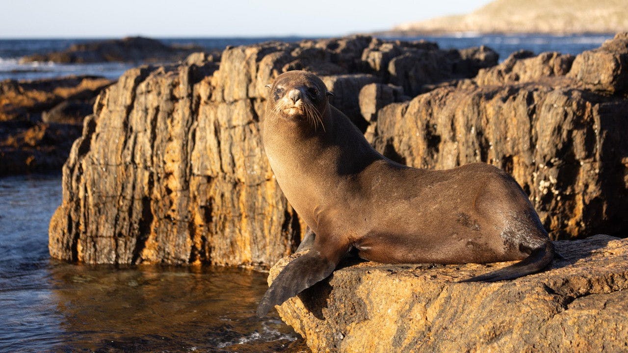 assista ao episódio 2 da temporada 1