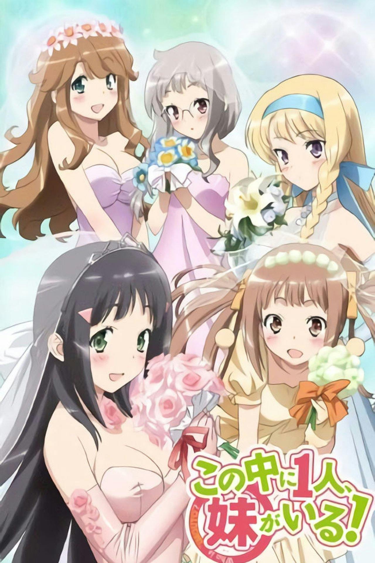 Assistir Kono Naka ni Hitori, Imouto ga Iru! Online em HD