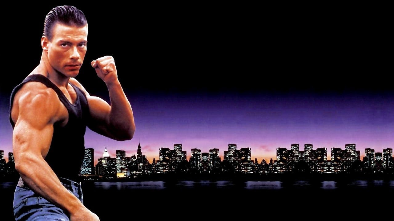 Leão Branco: O Lutador Sem Lei assista online