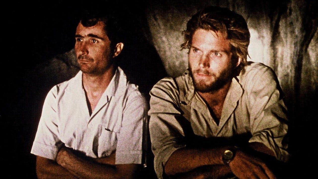 Cinema, Aspirinas e Urubus assista online