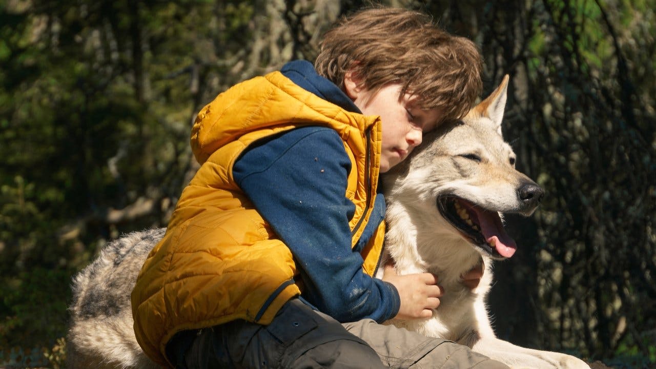 Bruno e o Lobo assista online