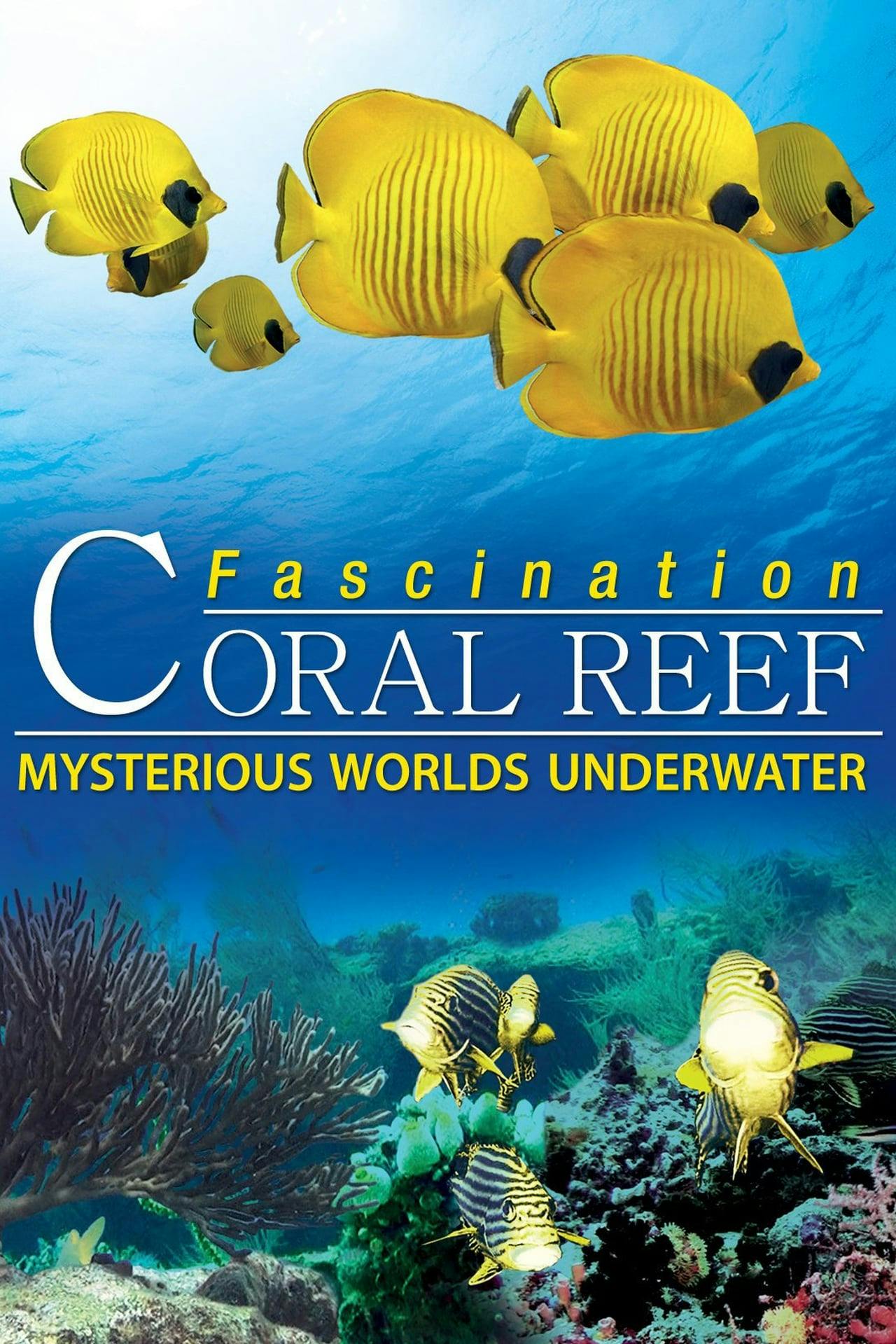 Assistir Fascination Coral Reef: Mysterious Worlds Underwater Online em HD