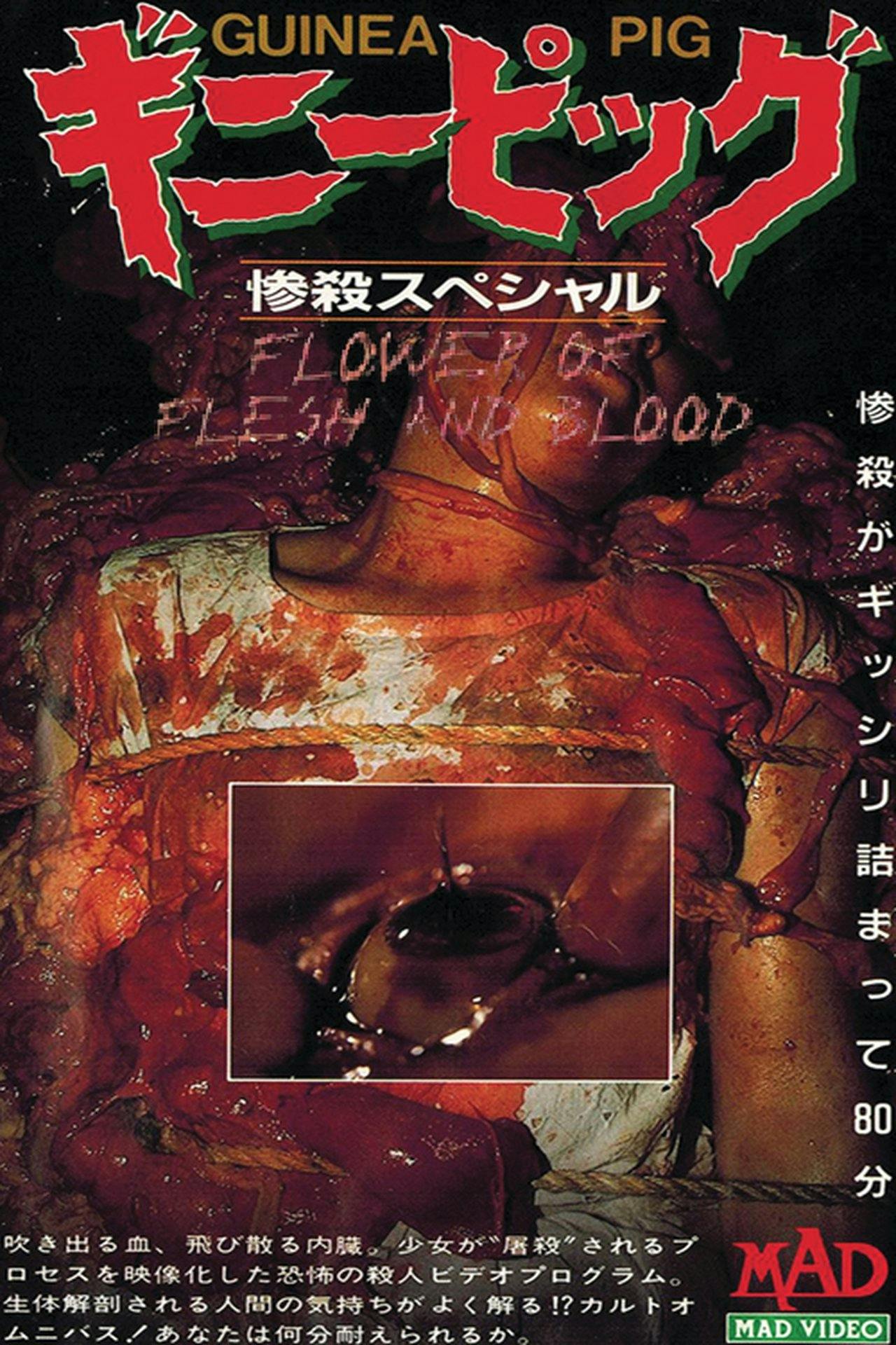 Assistir ギニーピッグ2 血肉の華 Online em HD