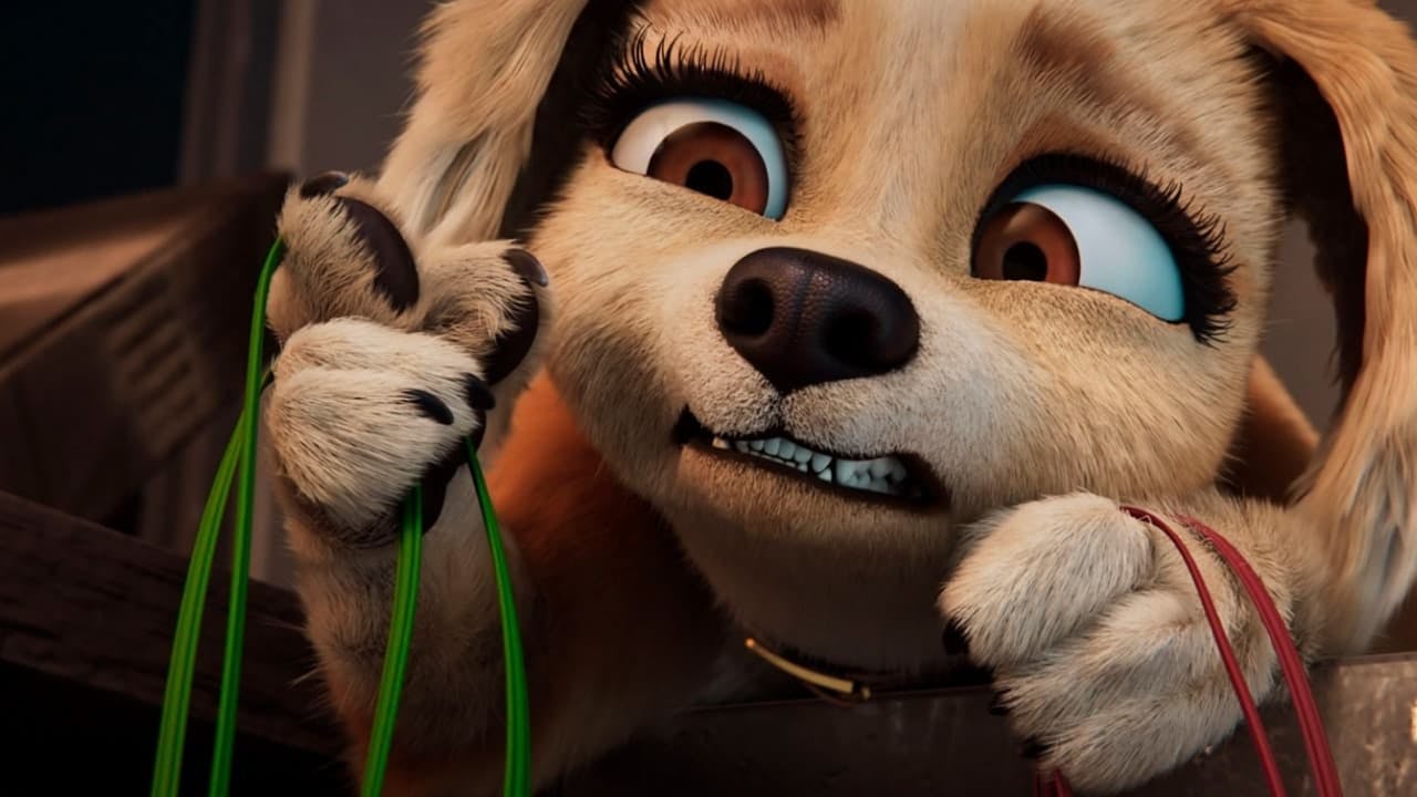 Pets em Ação!