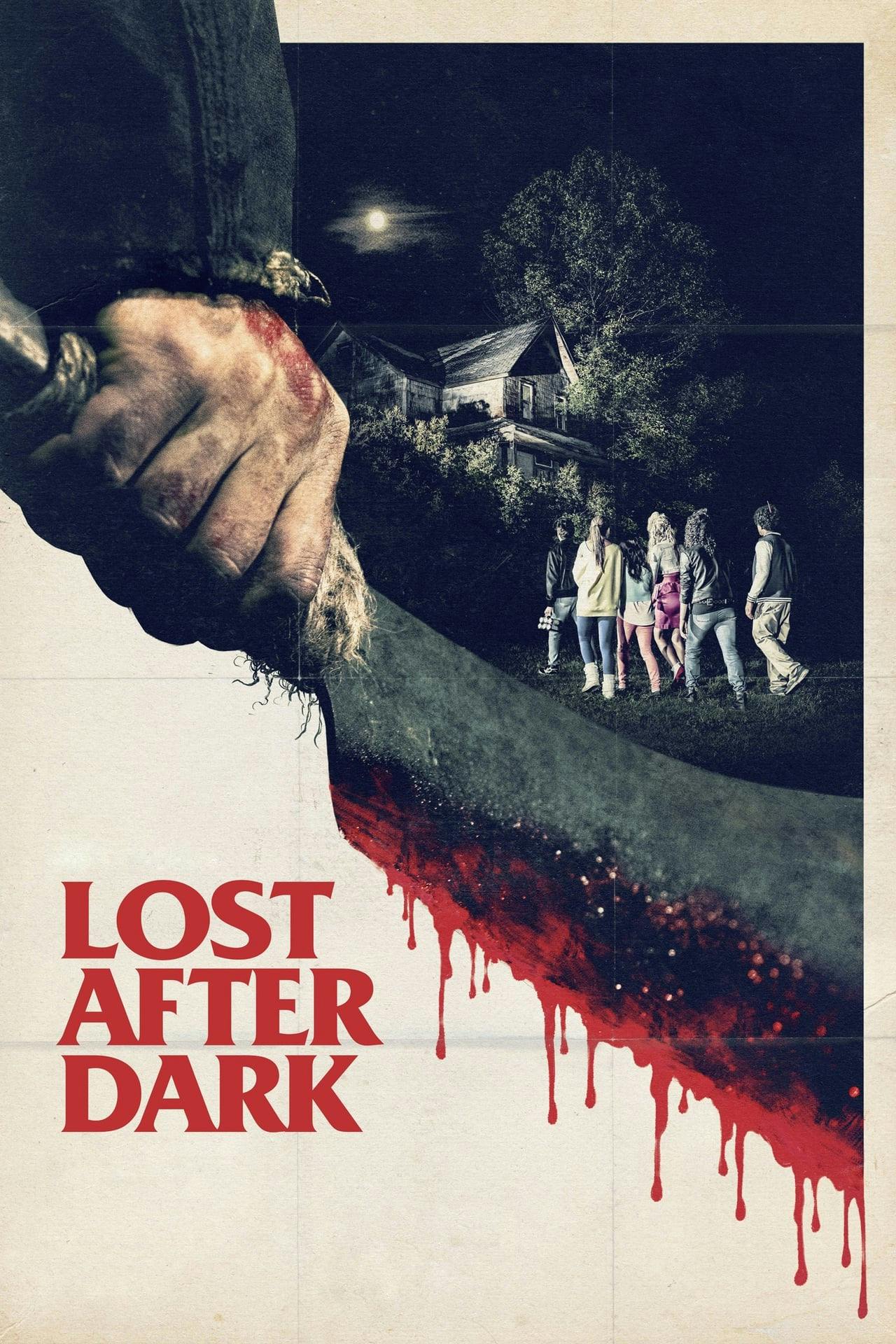 Assistir Lost After Dark Online em HD