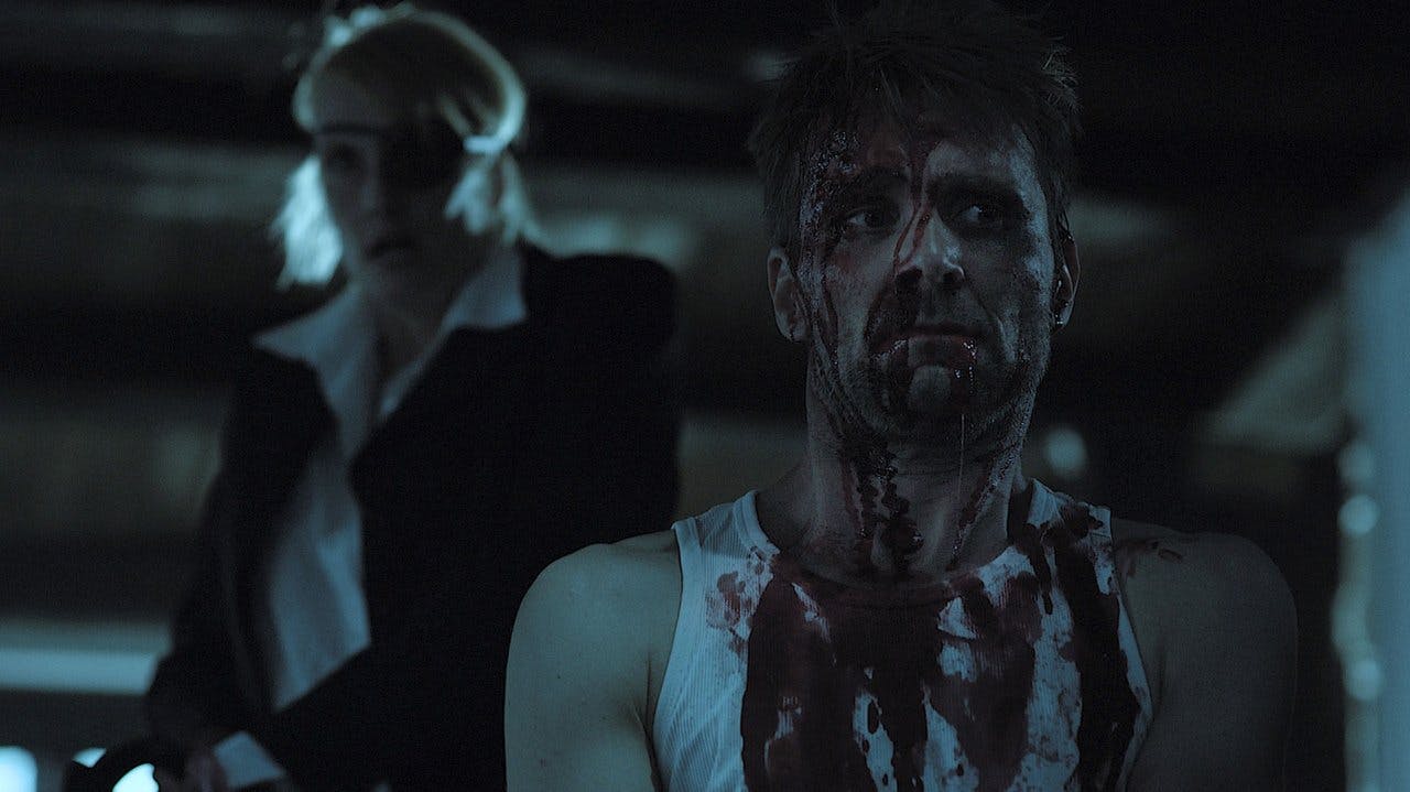 The Bitter Taste assista online