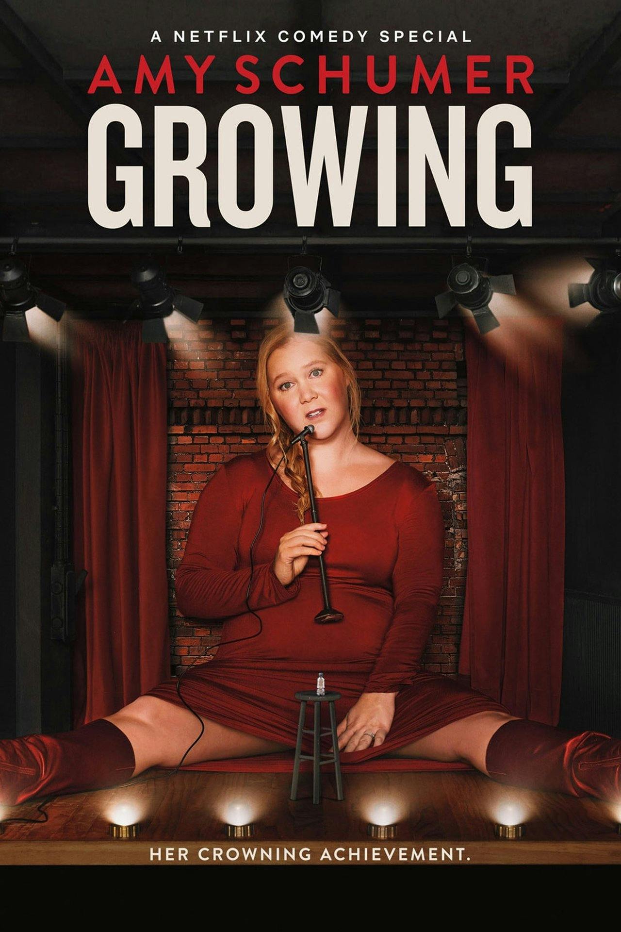 Assistir Amy Schumer: Growing Online em HD