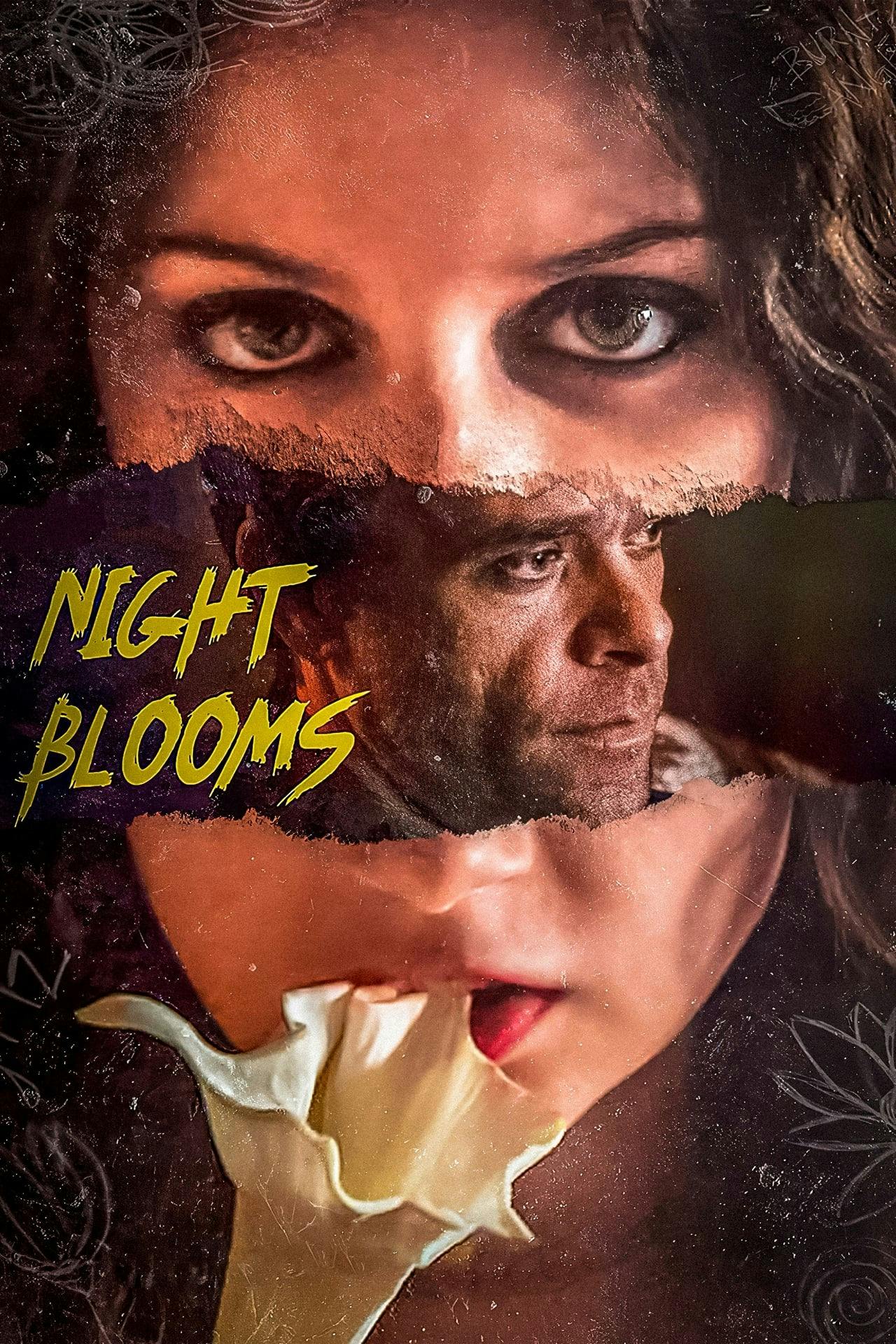 Assistir Night Blooms Online em HD