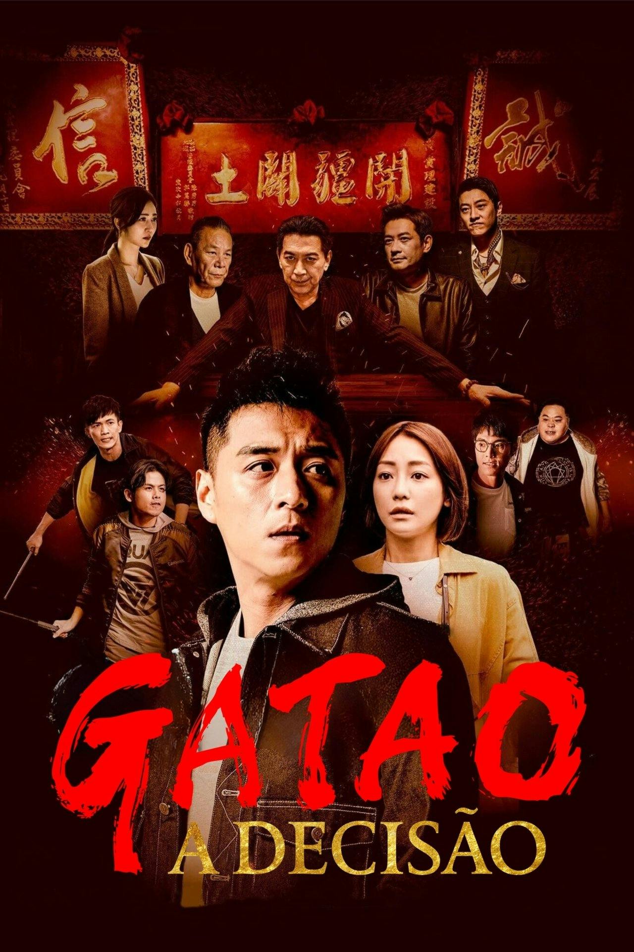 Assistir Gatao: A Decisão Online em HD