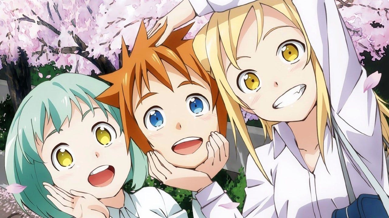 Interviews with Monster Girls
