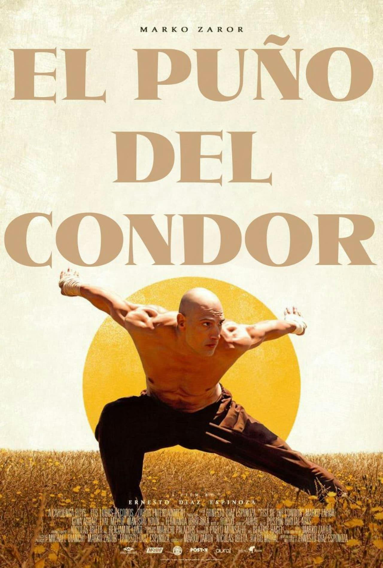 Assistir O Punho do Condor Online em HD