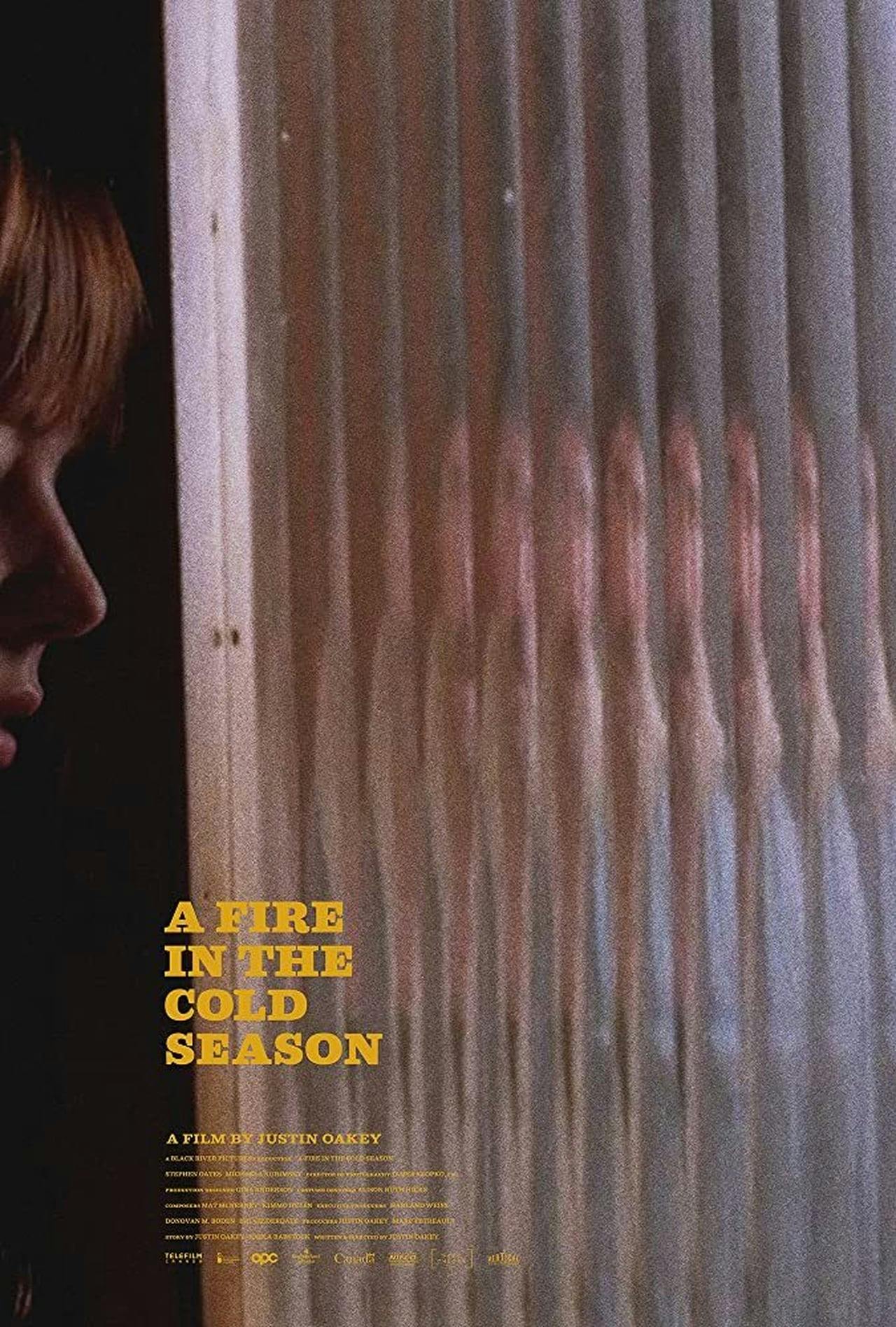 Assistir A Fire in the Cold Season Online em HD