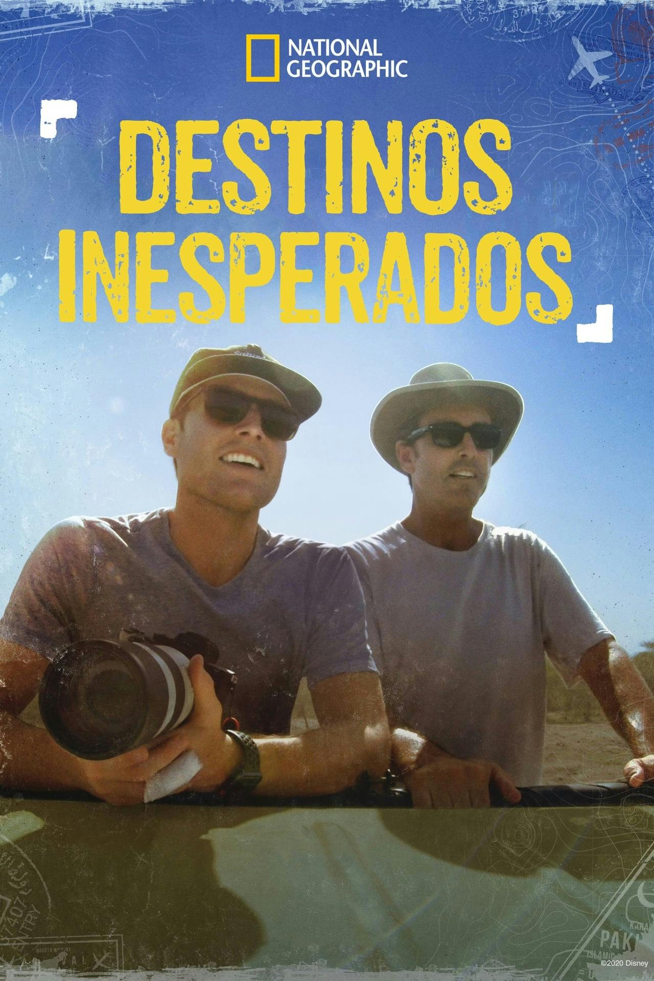 Assistir Destinos Inesperados (Rogue Trip) Online em HD