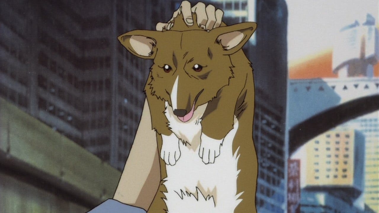 assista ao episódio 1 da temporada 1