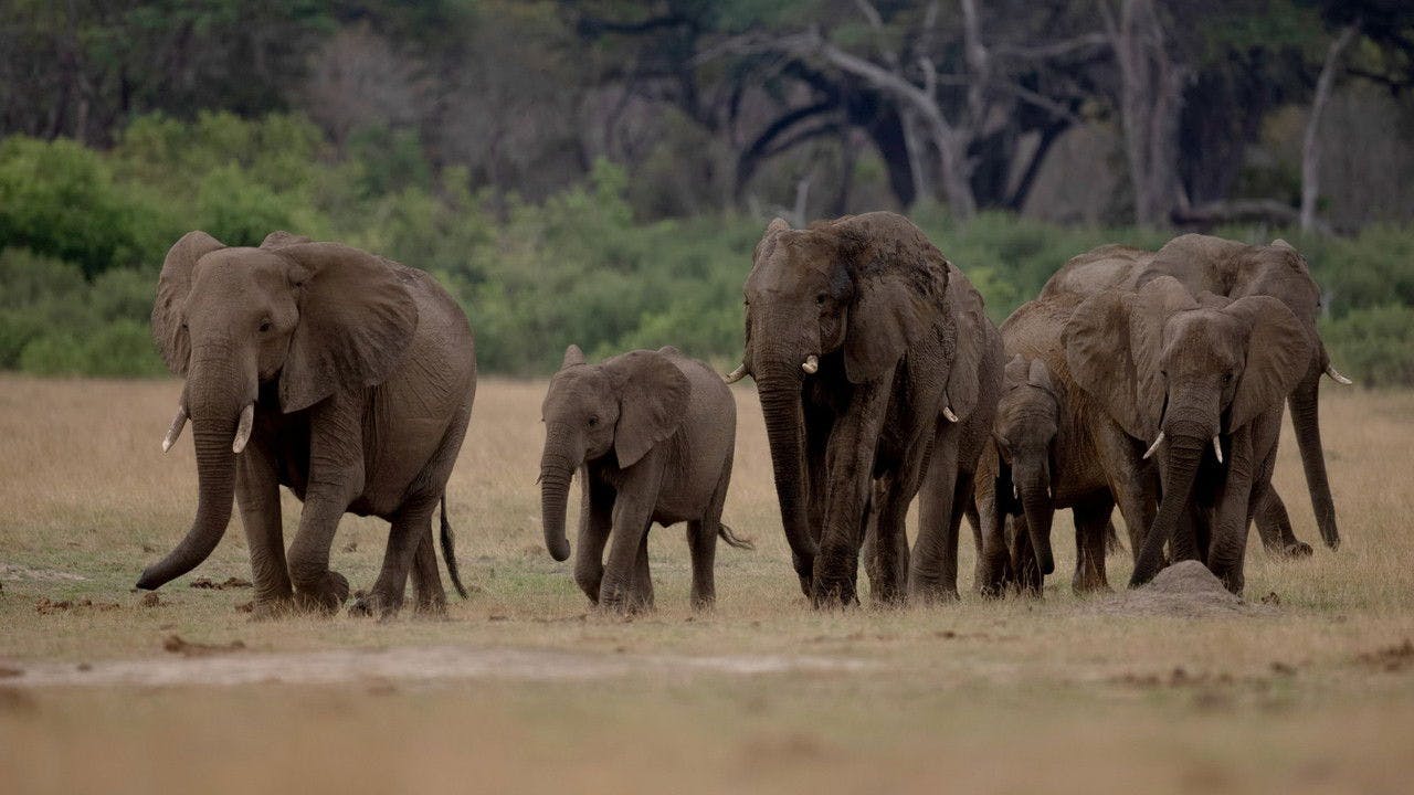 assista ao episódio 1 da temporada 1