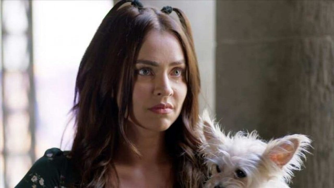assista ao episódio 17 da temporada 1