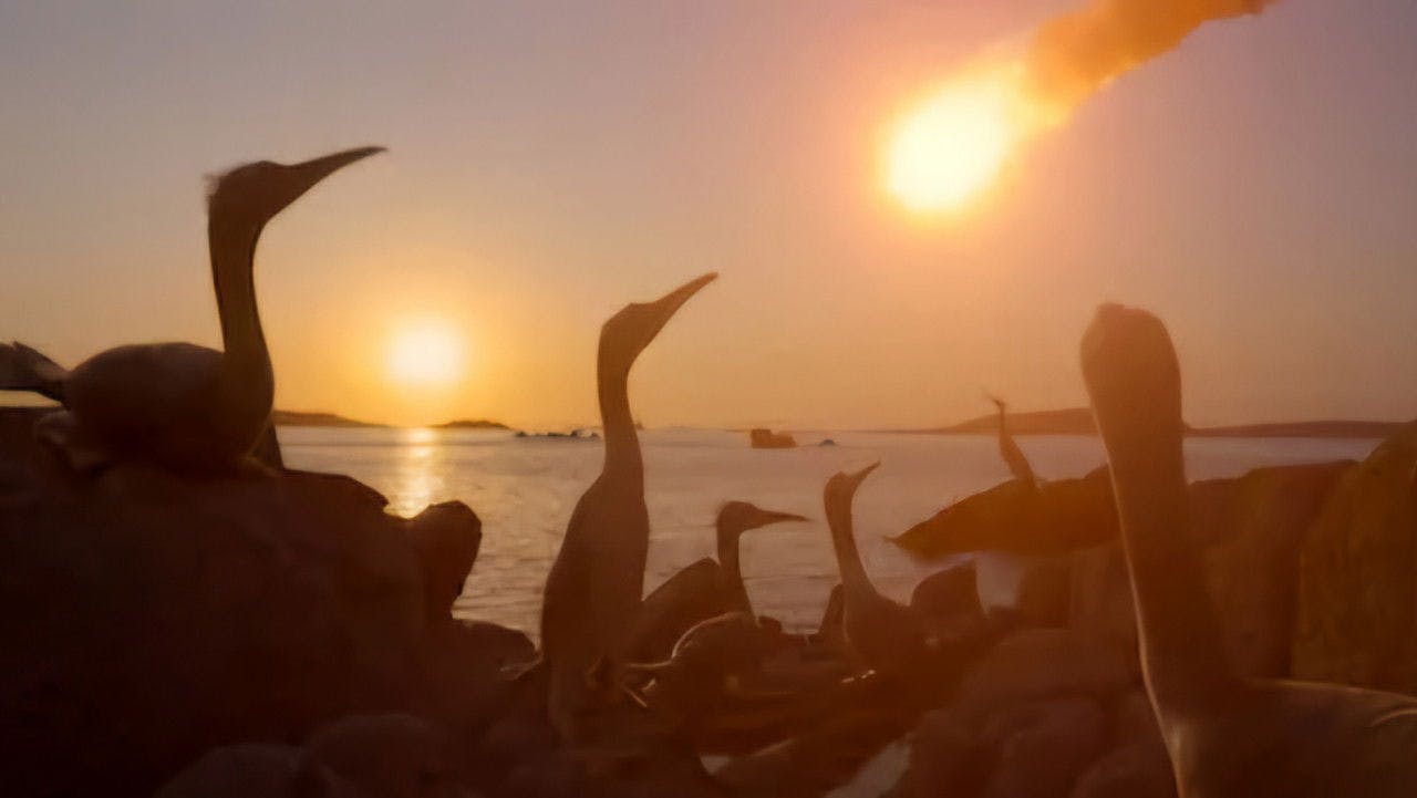 assista ao episódio 4 da temporada 1