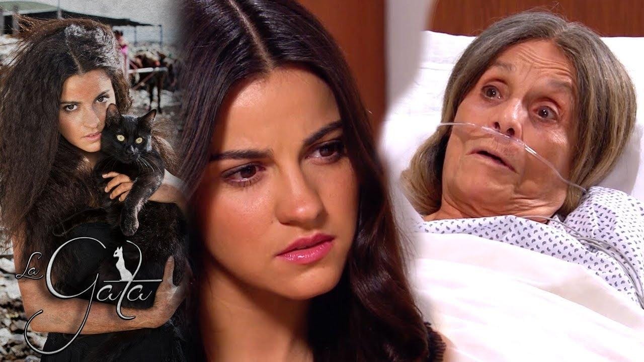 assista ao episódio 20 da temporada 1