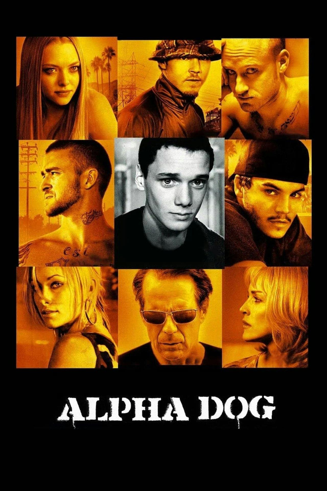 Assistir Alpha Dog Online em HD
