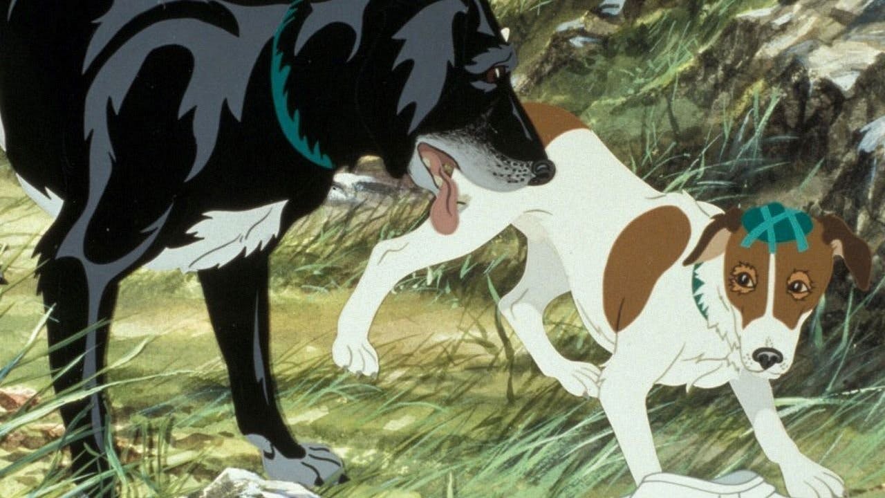 Os Cães Plagueados
