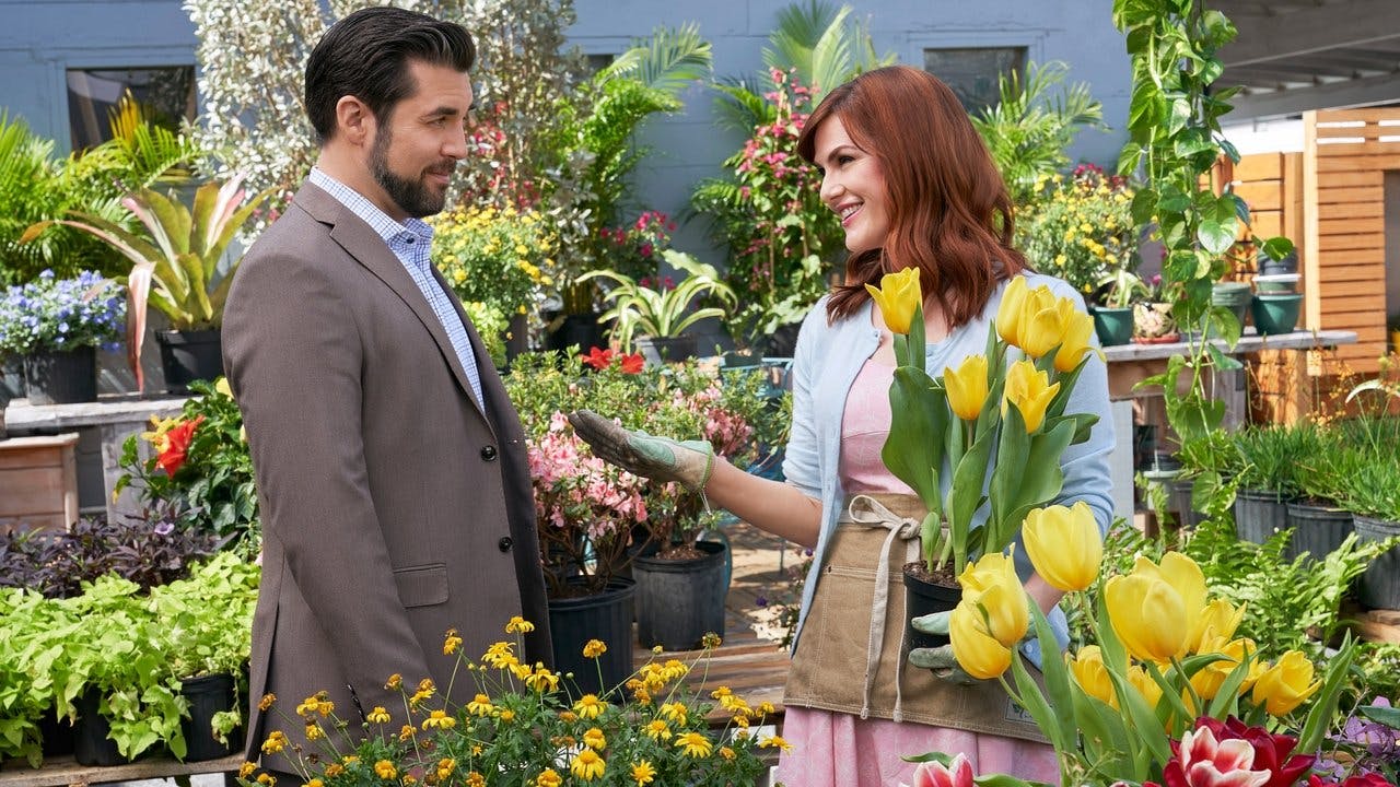 O Amor Floresce assista online