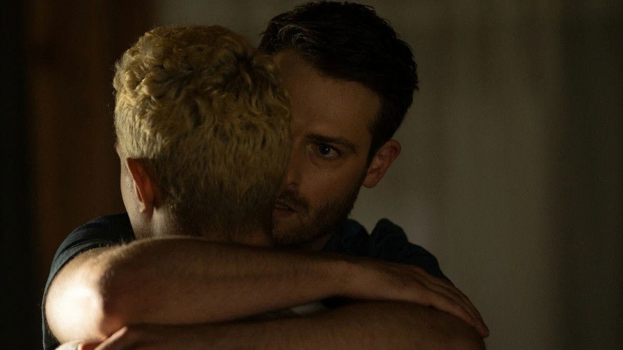 Ladybug assista online