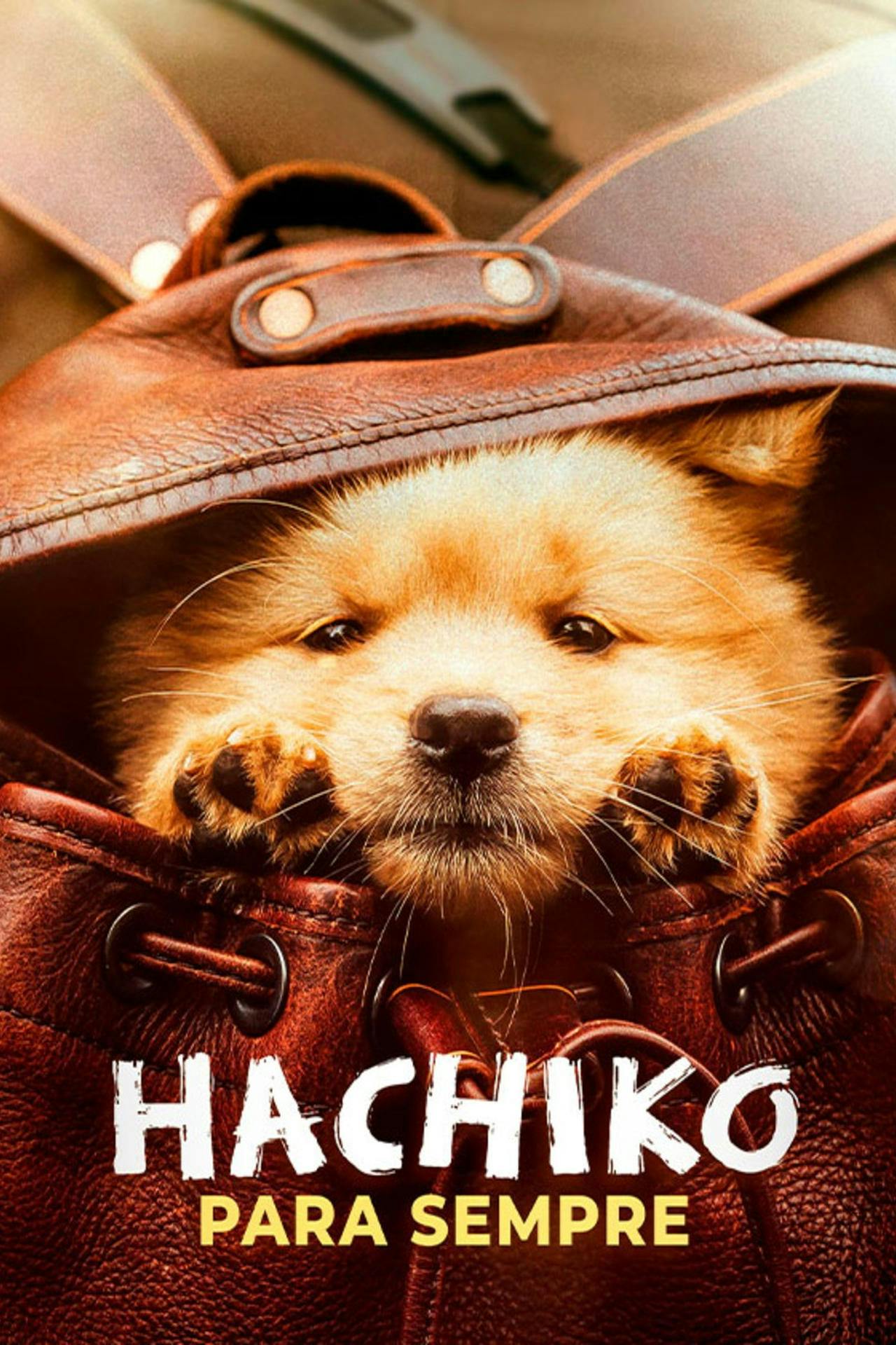 Assistir Hachiko: Para Sempre Online em HD