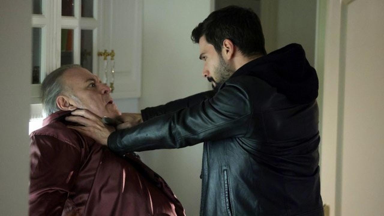 assista ao episódio 25 da temporada 1