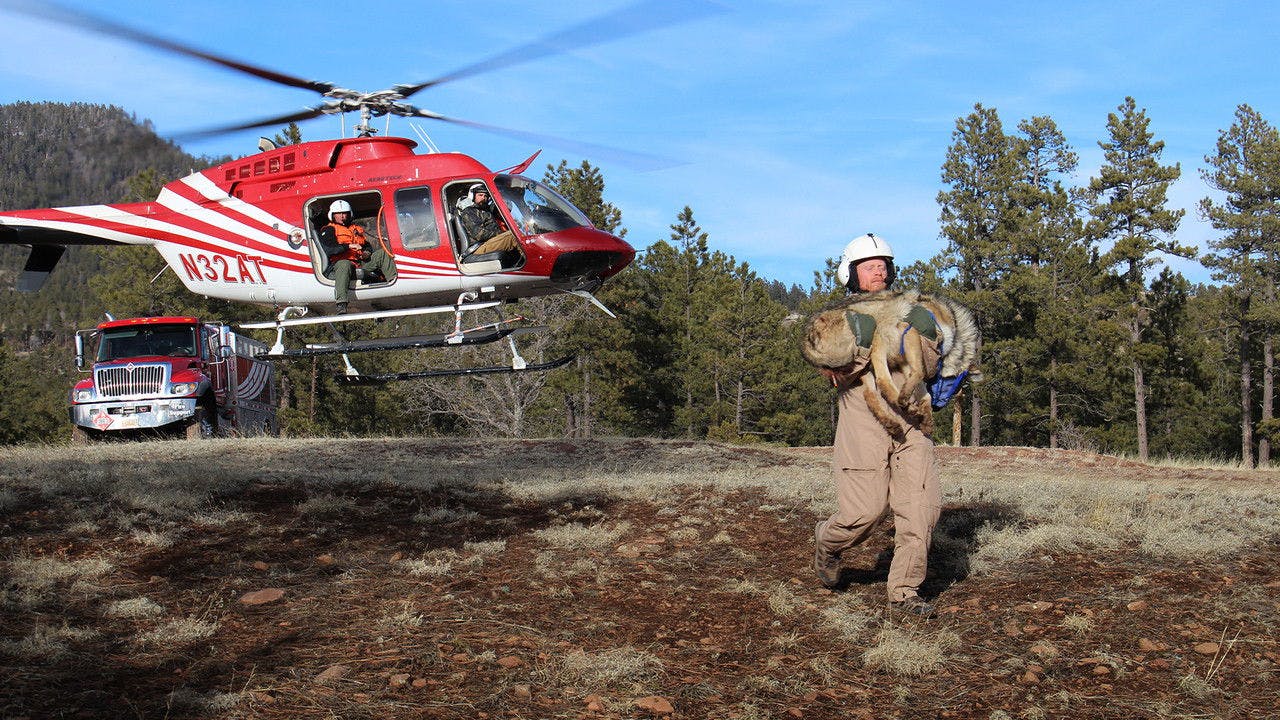 assista ao episódio 3 da temporada 1