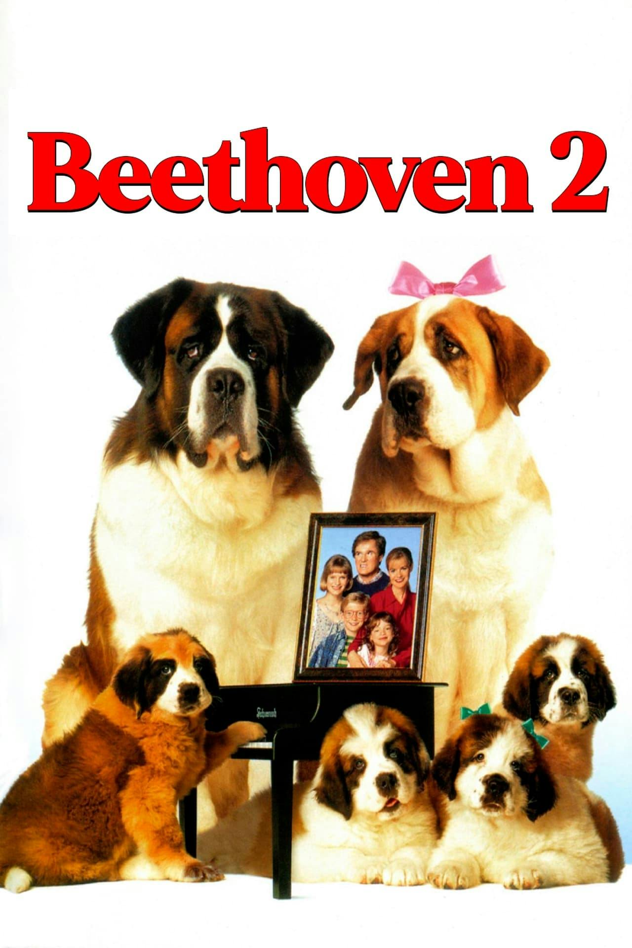 Assistir Beethoven 2 Online em HD