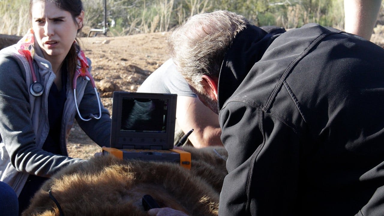 assista ao episódio 5 da temporada 1