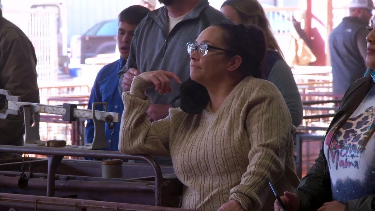 assista ao episódio 7 da temporada 1